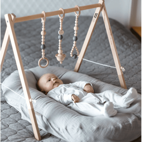 Cheeky Monkey Cozy Lounger With Activity Arch